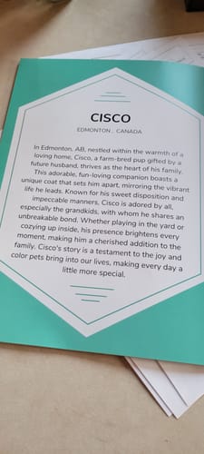 Customer photo review of Cutest Pets of the Month 2024 Photobook