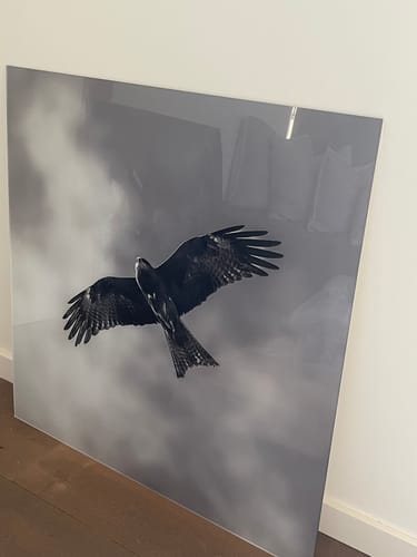 Customer photo review of Acrylic Mounting Panel - 100 x 100 cm