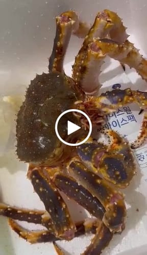 Customer video review of Nike Everyday Plus Cushioned Training Ankle Socks (3 Pairs)