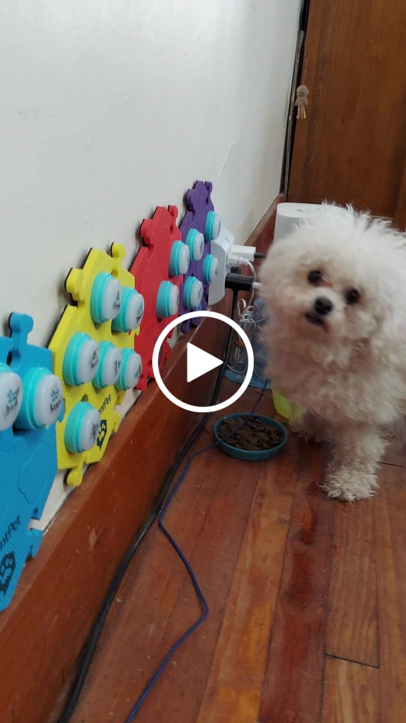 Customer video review of Connect Basic Vocab Kit