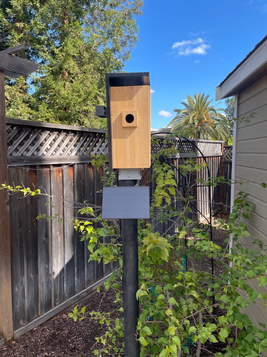 Customer photo review of Birdfy Nest - Smart Bird House with Dual Cameras