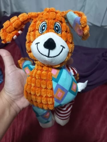 Customer photo review of LUMEVA™ Pet Plush Toy