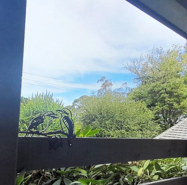 Customer photo review of Pair of Kookaburras