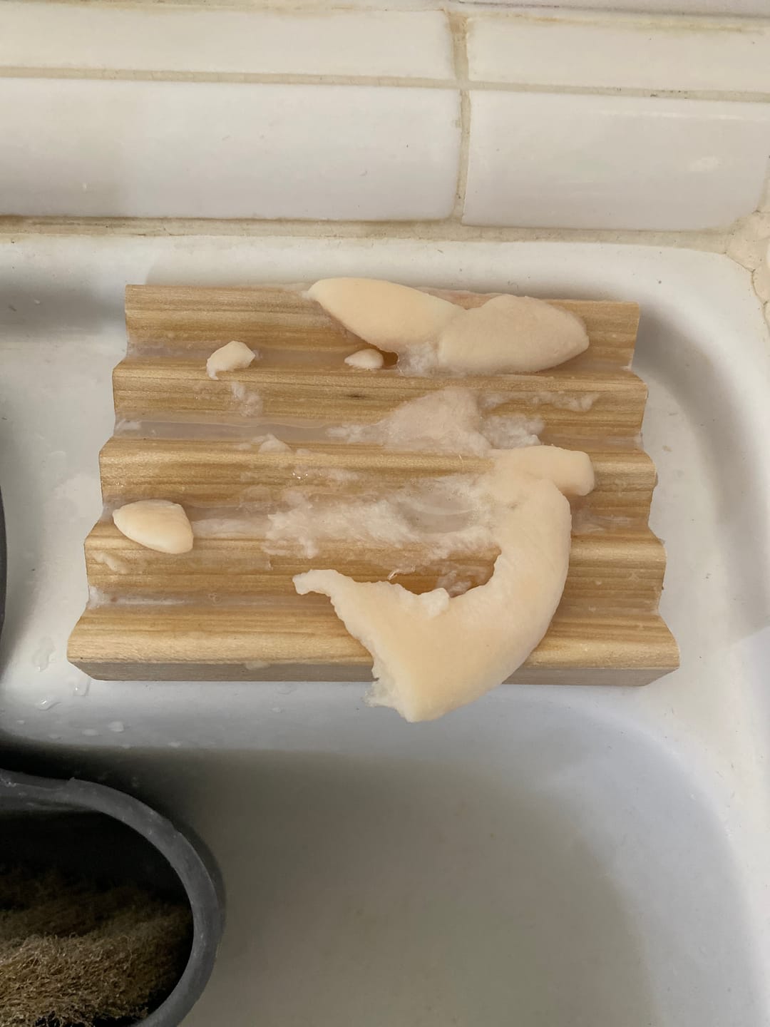 Customer photo review of Tallow Dish Soap