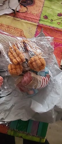 Customer photo review of LUMEVA™ Pet Plush Toy