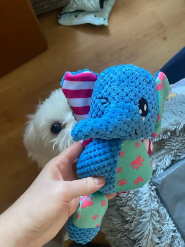 Customer photo review of LUMEVA™ Pet Plush Toy