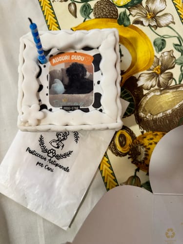 Customer photo review of Fotogenica 3 Torta Per Cani CON FOTO e NOME