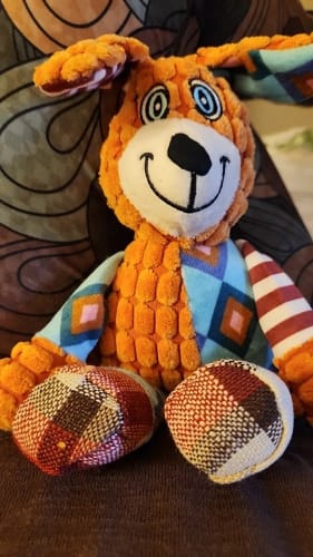 Customer photo review of LUMEVA™ Pet Plush Toy