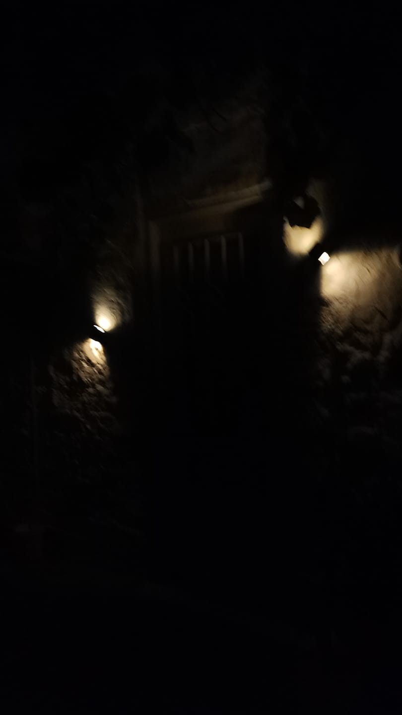 Customer photo review of Pack de 2 focos led solares decorativos Luz Dual para jardin
