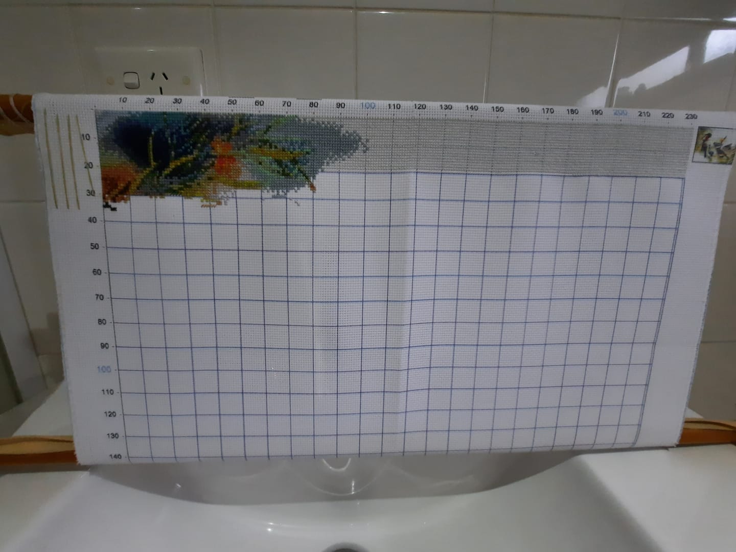Customer photo review of My Garden Birds Kit