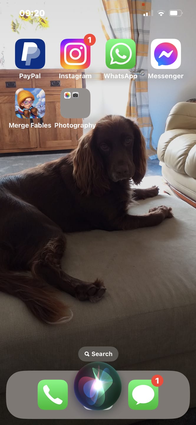Customer photo review of Total Calm Tablets For Dogs