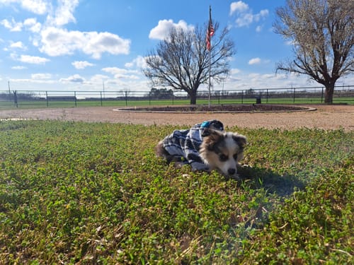 Customer photo review of Playa Poncho - Surprise Color