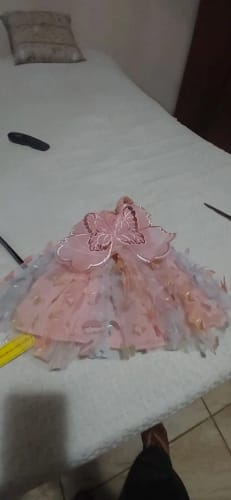 Customer photo review of Butterfly Sequin Lace Dress