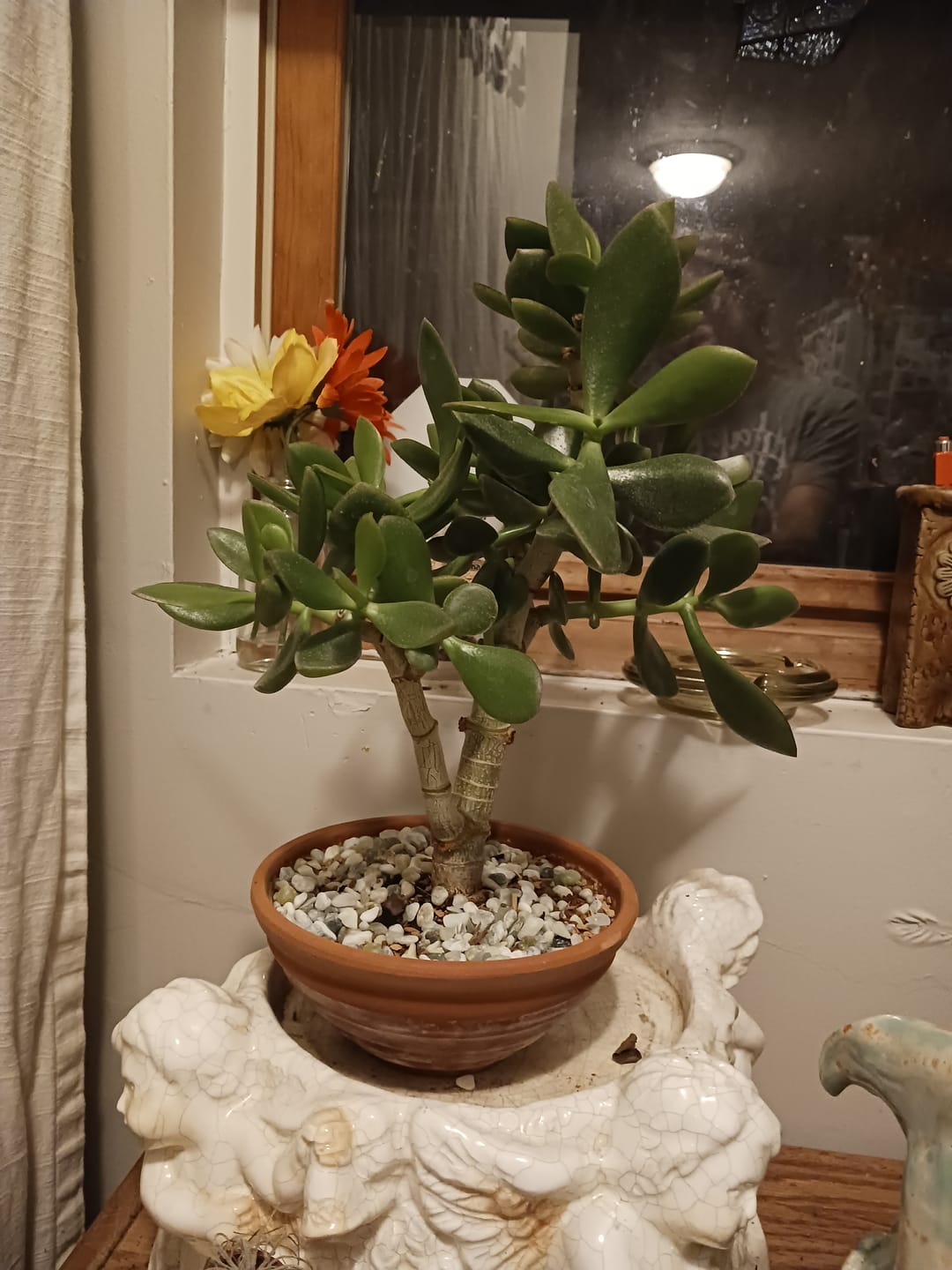 Customer photo review of Houseplant Top 40 Guide + Playlist