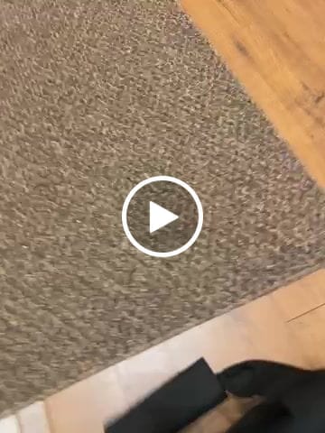 Customer video review of ZEBRASCLUB SUPERVISOR COOLER BAG