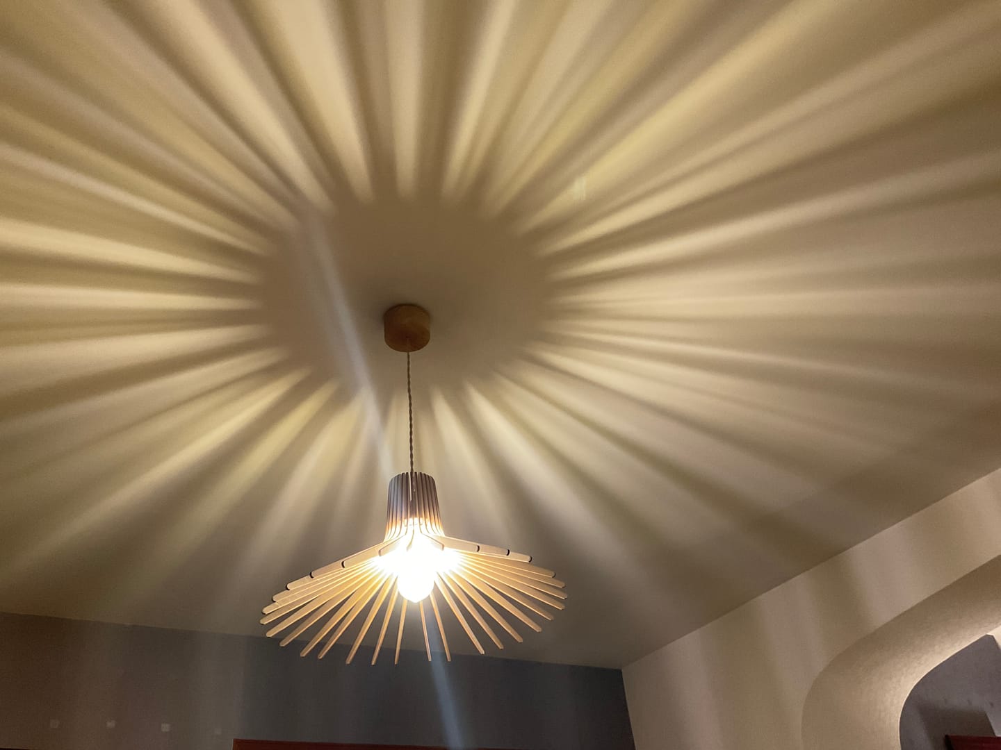 Customer photo review of Azur | Suspension