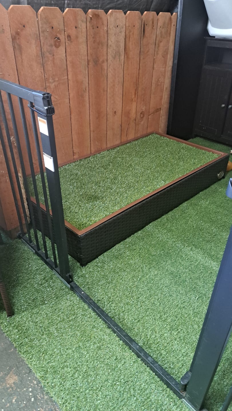 Customer photo review of Porch Potty Standard