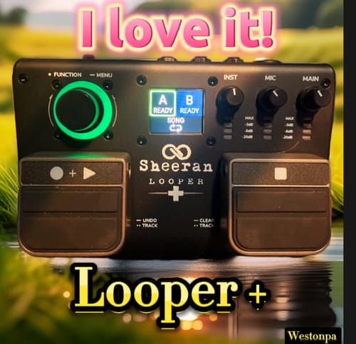 Customer photo review of Sheeran Looper +