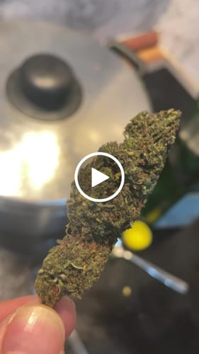 Customer video review of Cali Jokerz x 32% HHC Power Blend