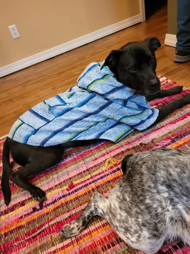 Customer photo review of Playa Poncho - Surprise Color