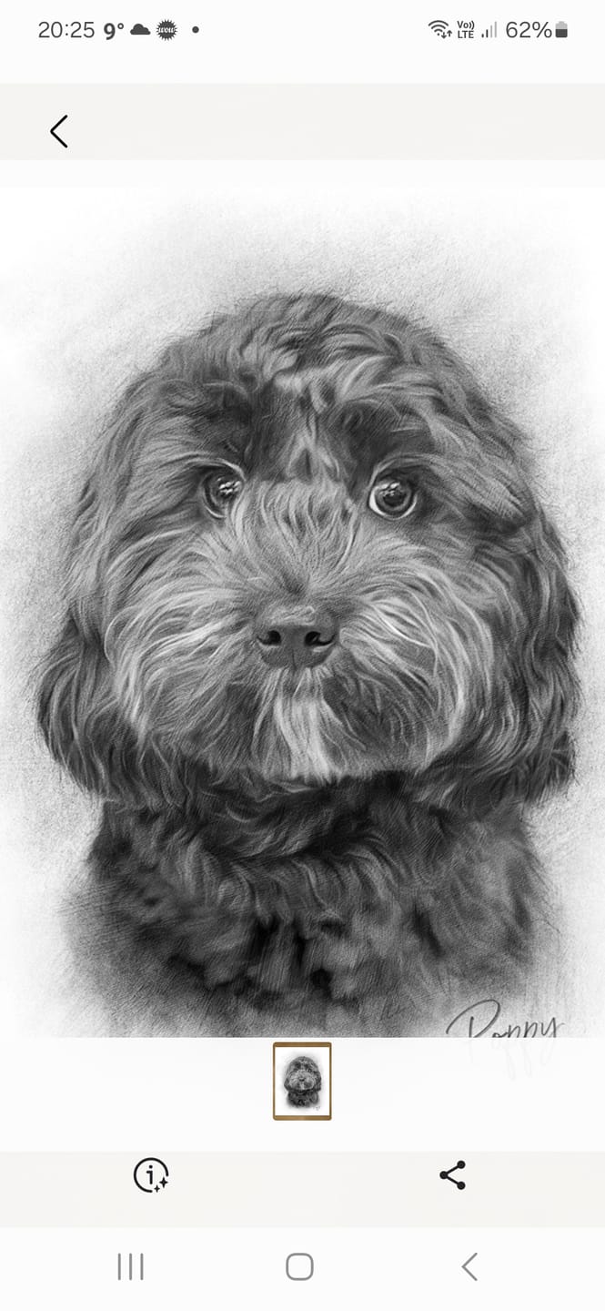 Customer photo review of Custom Pet Portrait From Your Photos – Black & White