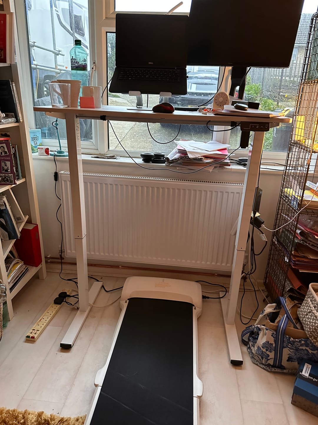 Customer photo review of WalkingPad C1  Lightest Foldable Walking Treadmill 3.72MPH 220 lbs