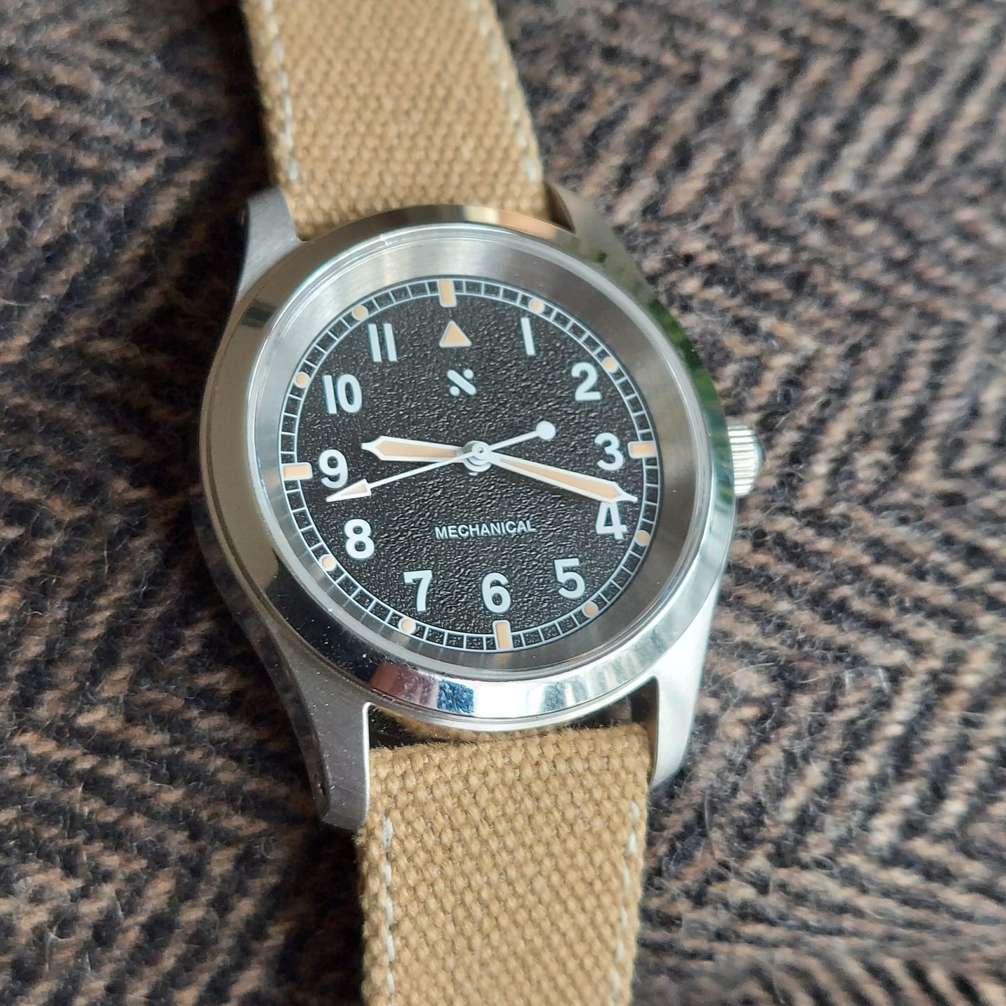 Customer photo review of Desert Tan Canvas