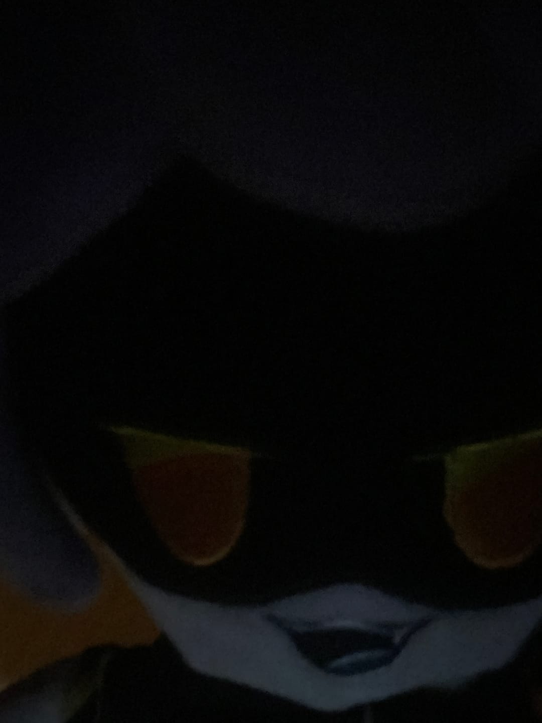 Customer photo review of V Plush