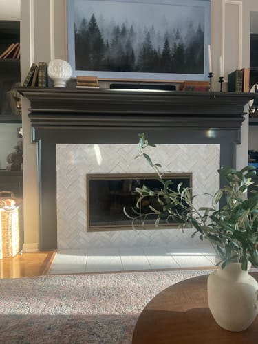 Customer photo review of Cabot - Steel Masonry Fireplace Glass Doors