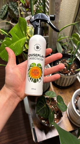 Customer photo review of Houseplant Insecticide w/ Neem
