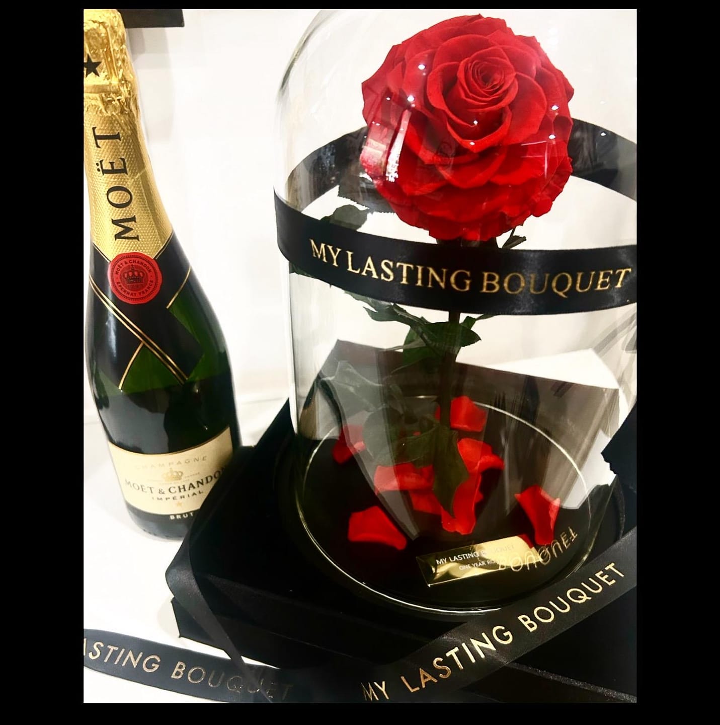 Customer photo review of Red Lasting Belle