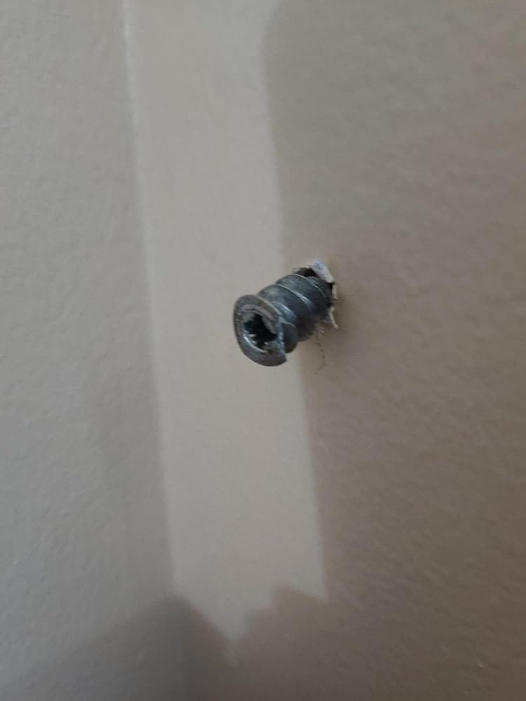 Customer photo review of E-Z Ancor 25316 1-1/4x#7 Phillips Drive Flat Head Zinc Coated Alloy Drywall Anchors, 4/Box