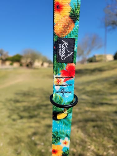 Customer photo review of The Tropics Leash