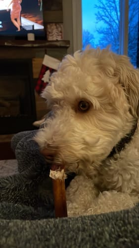 Customer photo review of Bully Stick Ring
