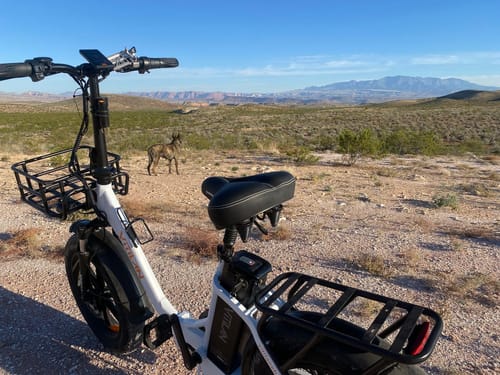 Customer photo review of U7 Step-thru Foldable Fat Tire Electric Bike