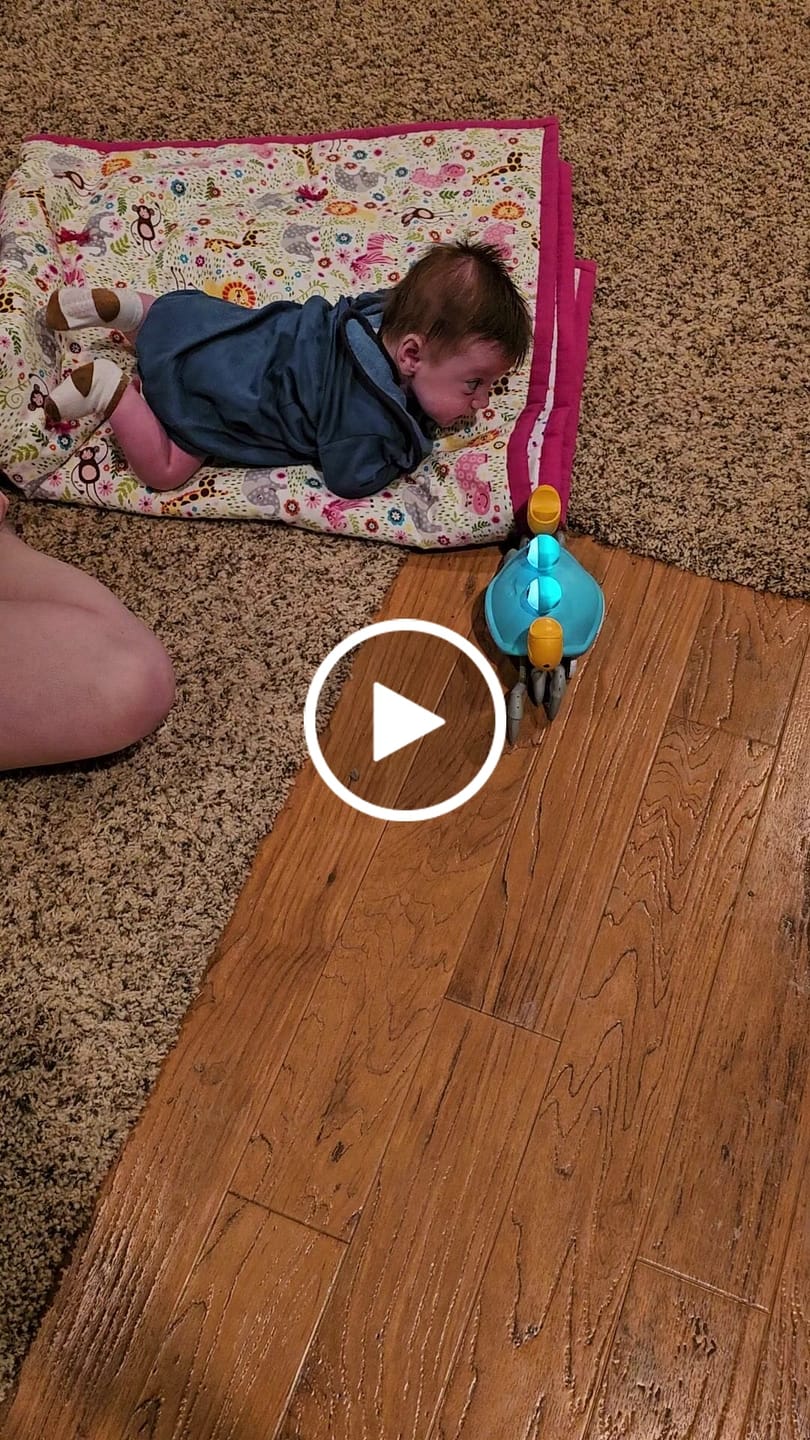 Customer video review of The Crawly Crab™