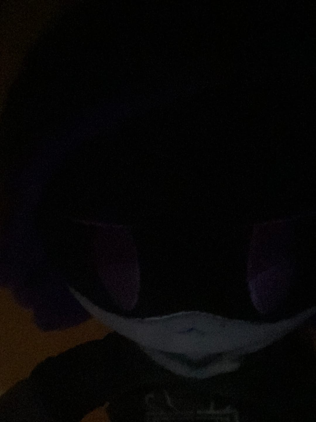 Customer photo review of Uzi Plush