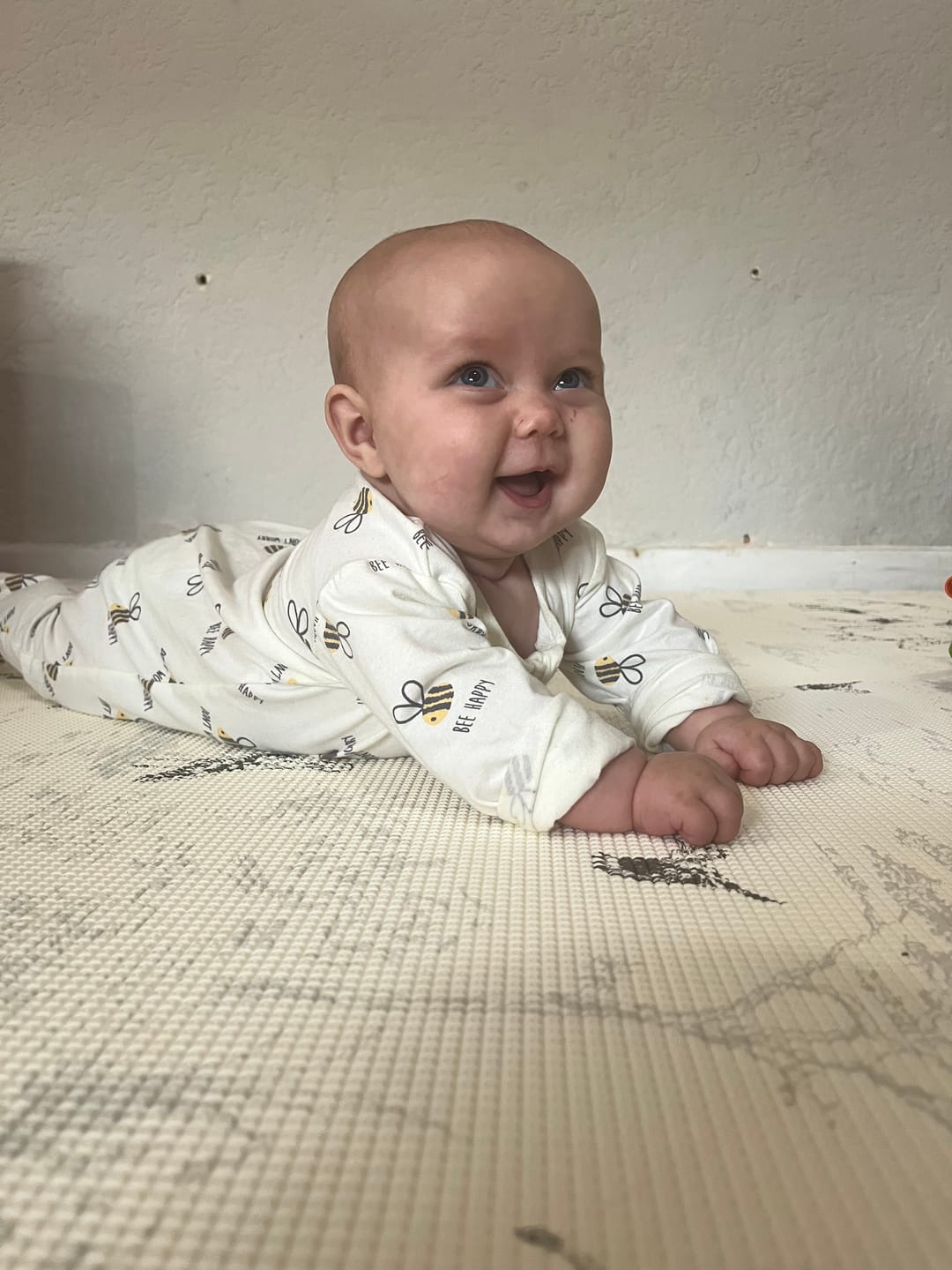 Customer photo review of Safari Toile/ Dune Play Mat