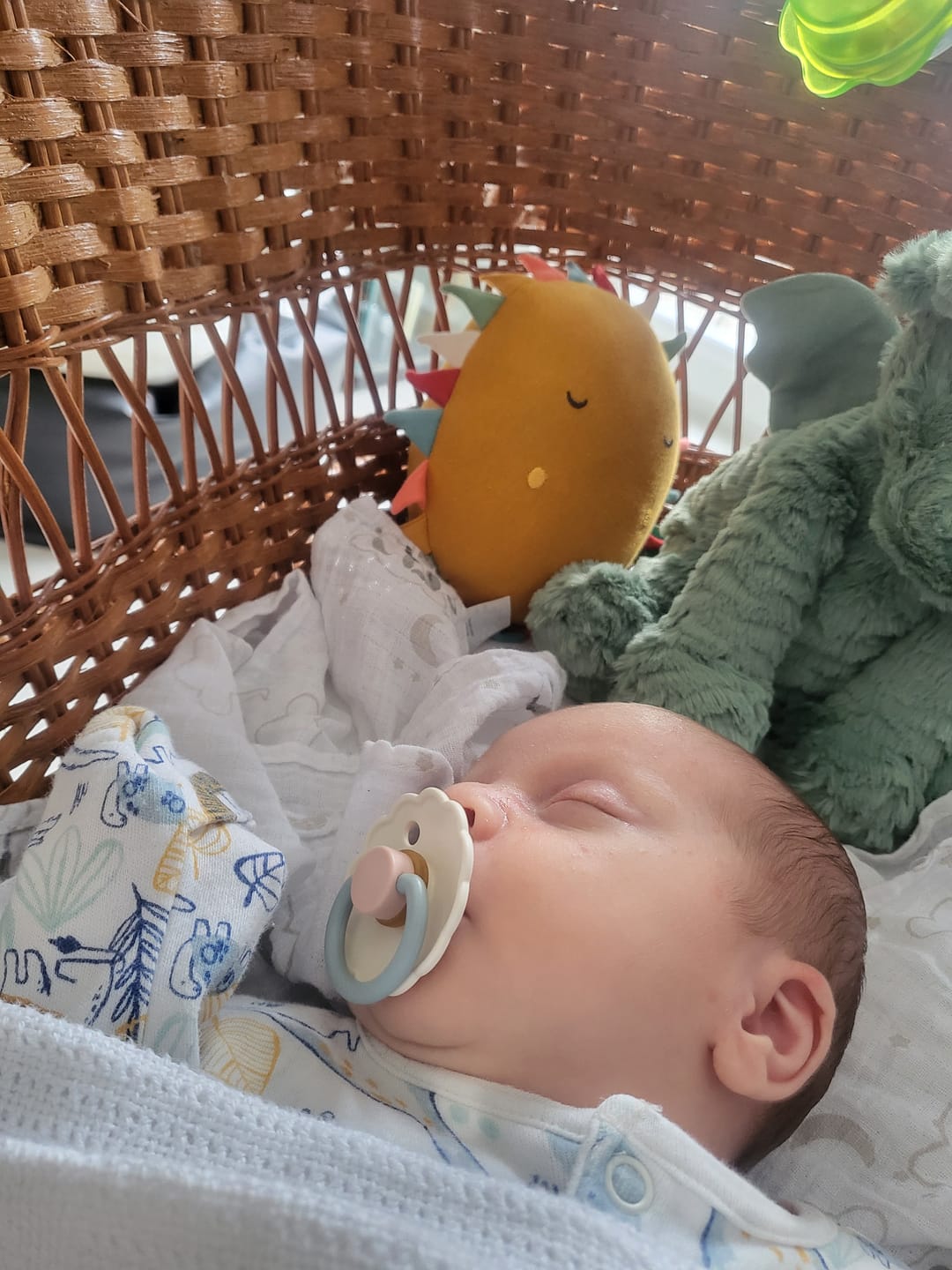 Customer photo review of You Are my Sunshine Organic Soft Toy