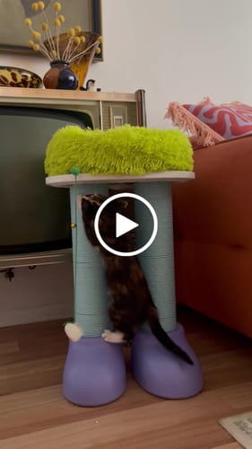 Customer video review of MAKESURE 3-in-1 Cat Scratcher, Bed, and Side Table - Stylish Feline Furniture