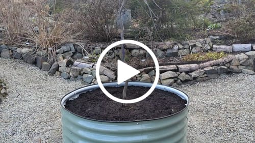 Customer video review of 17” Tall Large Round