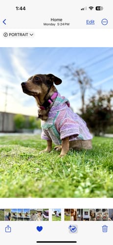 Customer photo review of Playa Poncho - Surprise Color