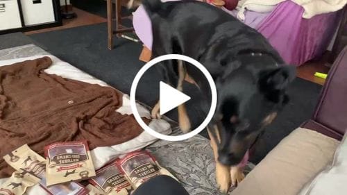 Customer photo review of Bully Stick Ring