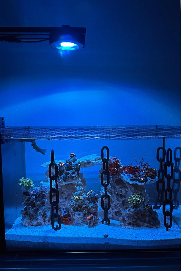 Customer photo review of Pixel LED Bundle