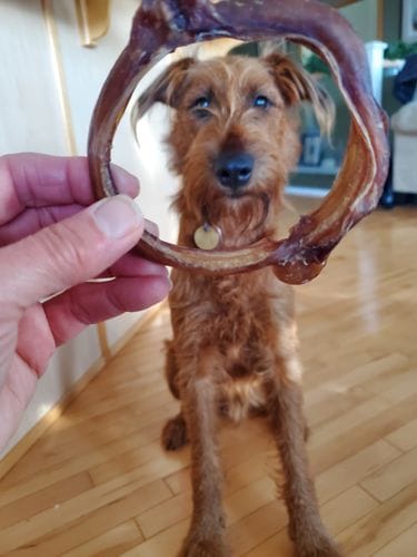 Customer photo review of Bully Stick Ring