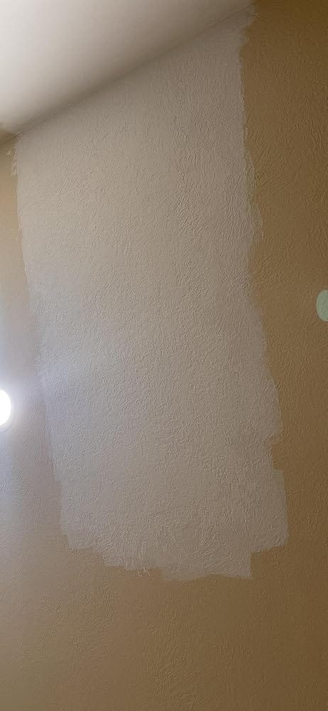 Customer photo review of Kraft Tool Co. DW116 6 in. Diameter Single Brush Drywall Texture