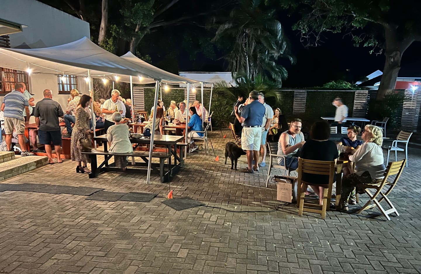Customer photo review of Litehouse LED Festoon Outdoor Bulb String Lights - Traditional Bulb - 220-240V - White String