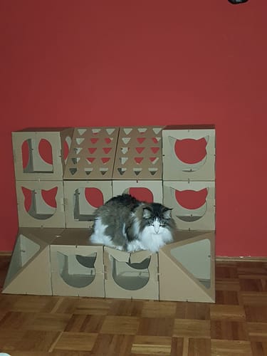 Customer photo review of Katzenhaus Royal Castle - braun