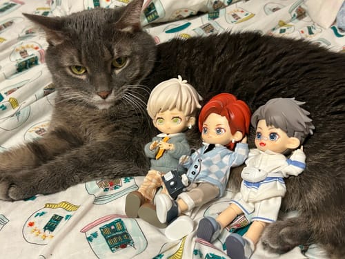 Customer photo review of PEETSOON Campus Male Classmates Series Action Figure BJD Blind Box