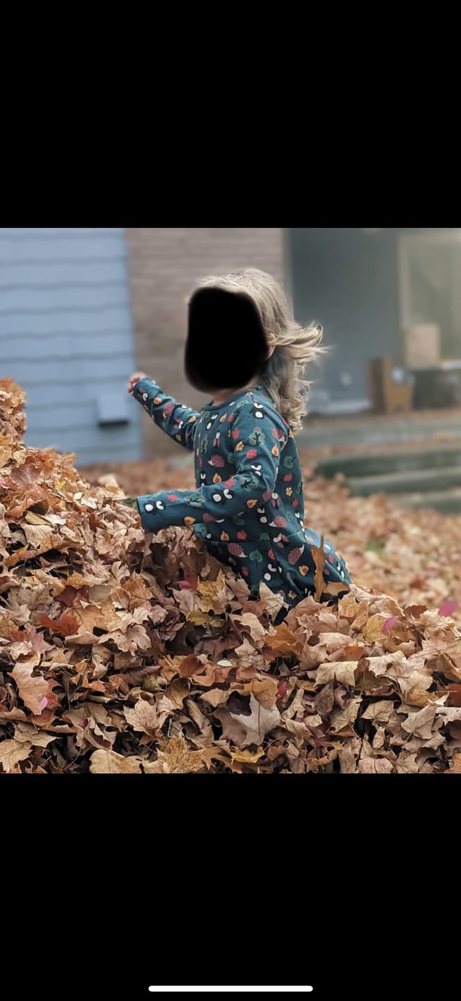 Customer photo review of Woodland Walk Long Sleeve Spinny Dress